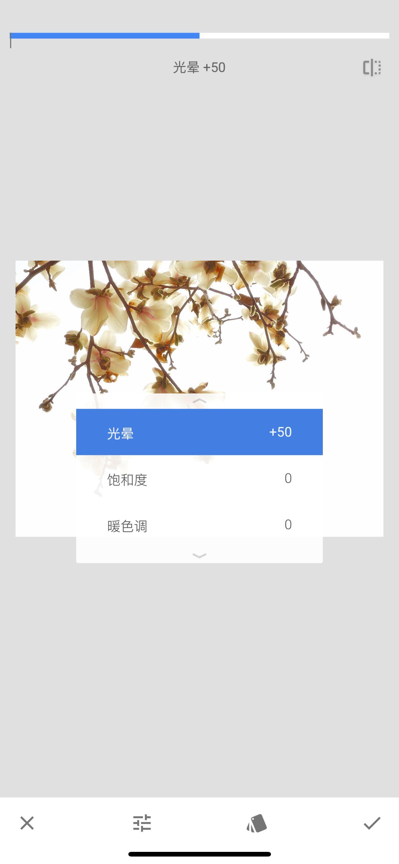 玉兰花下拍摄人像教程,水墨画玉兰花的创作和理念