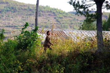 十一沿途风景,十一去红叶谷的景致