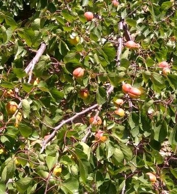 陕西十大避暑的地方,咸阳避暑旅游攻略