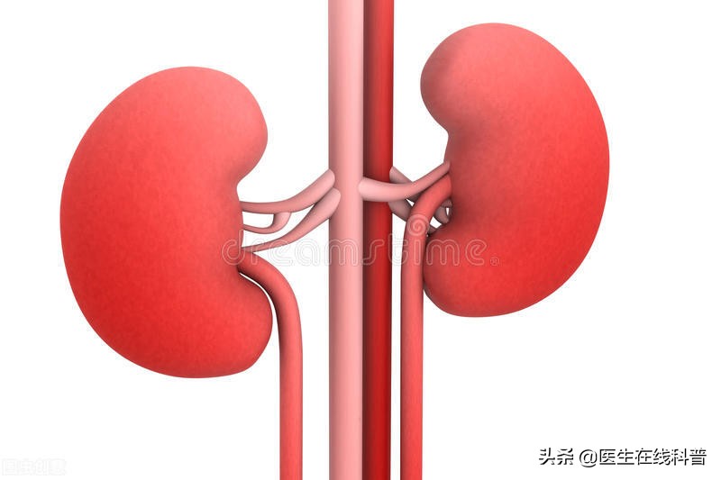 蛋白尿反反复复教你一个好方法,肾友得到的经验教训