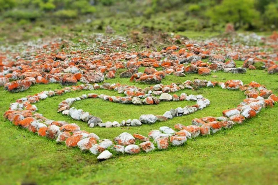 甲友心声2019,甲友心声向甲癌致谢