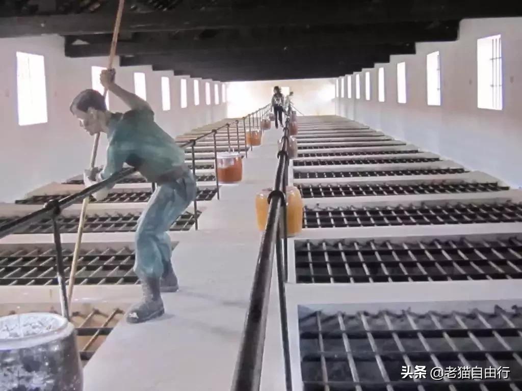 越南旅游自由行攻略详解,越南旅游攻略和自由行攻略