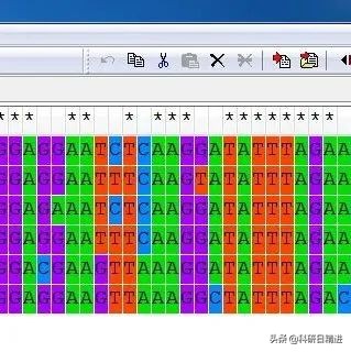 高通量测序步骤,高通量筛选与高通量测序