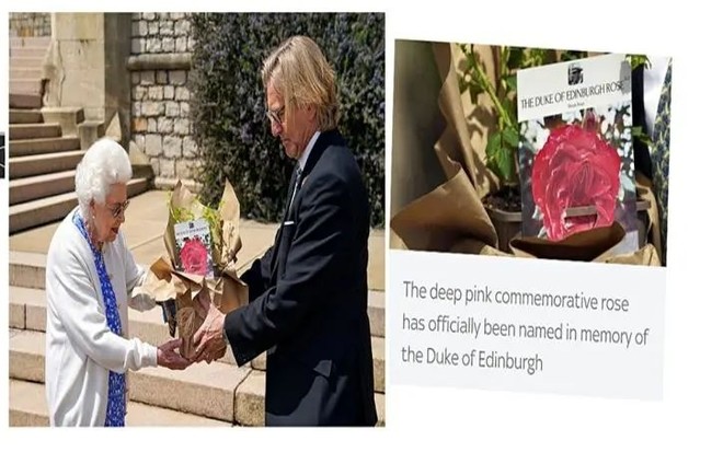 从英国回国为什么要转机,从英国回国需做哪些准备