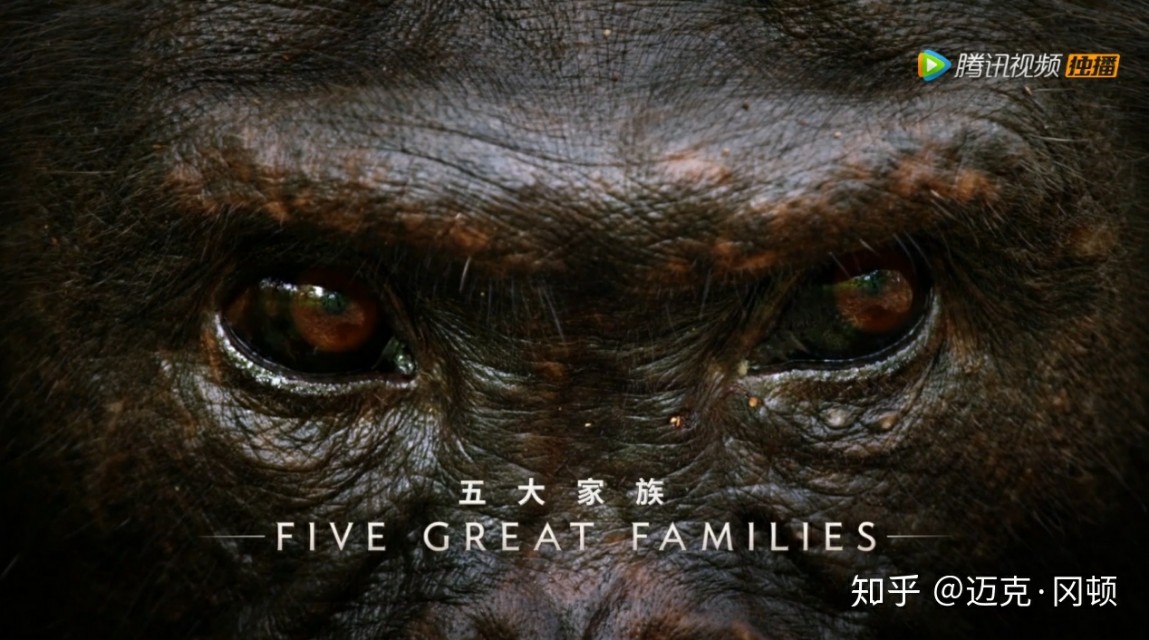 bbc纪录片真正权力的游戏,纪录片王朝权力的游戏