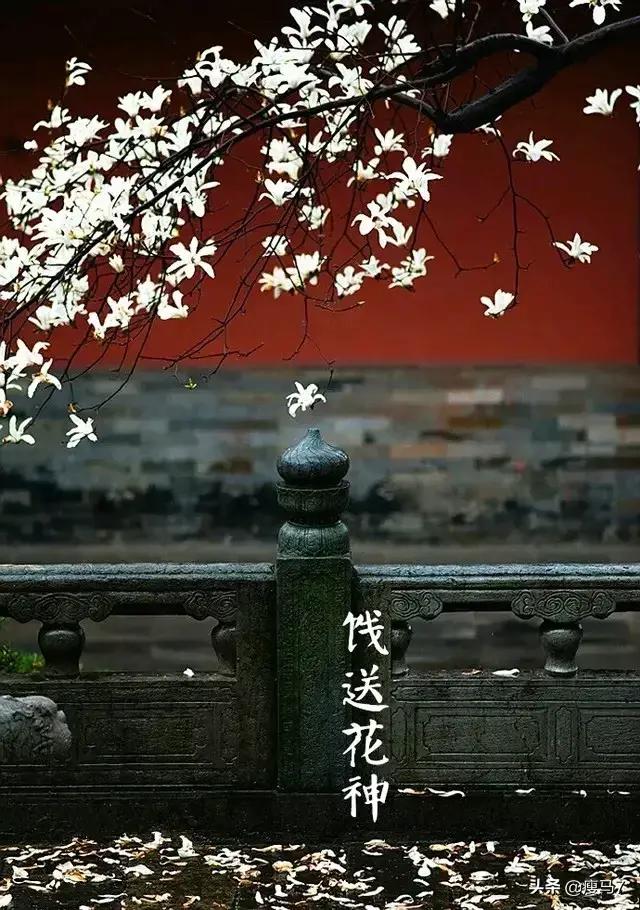 芒种种出新希望,芒种和幸福播种