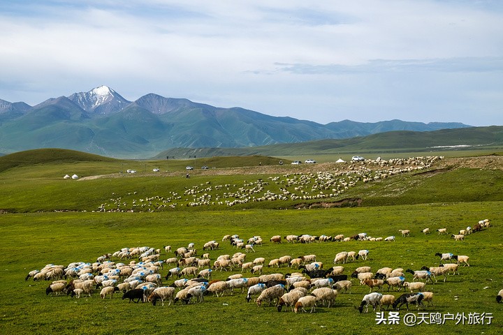 巴音布鲁克草原的特色,巴音布鲁克好吗