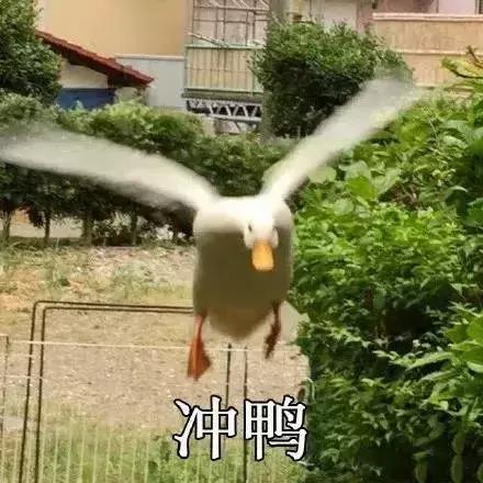 骞垮窞澶忓ぉ绯栨按澶ц祻,骞垮窞澶忓ぉ绯栨按缇庨鎺ㄨ崘