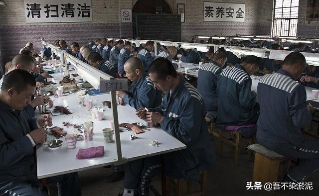 犯人在监狱里劳动有报酬吗,监狱犯人伙食标准