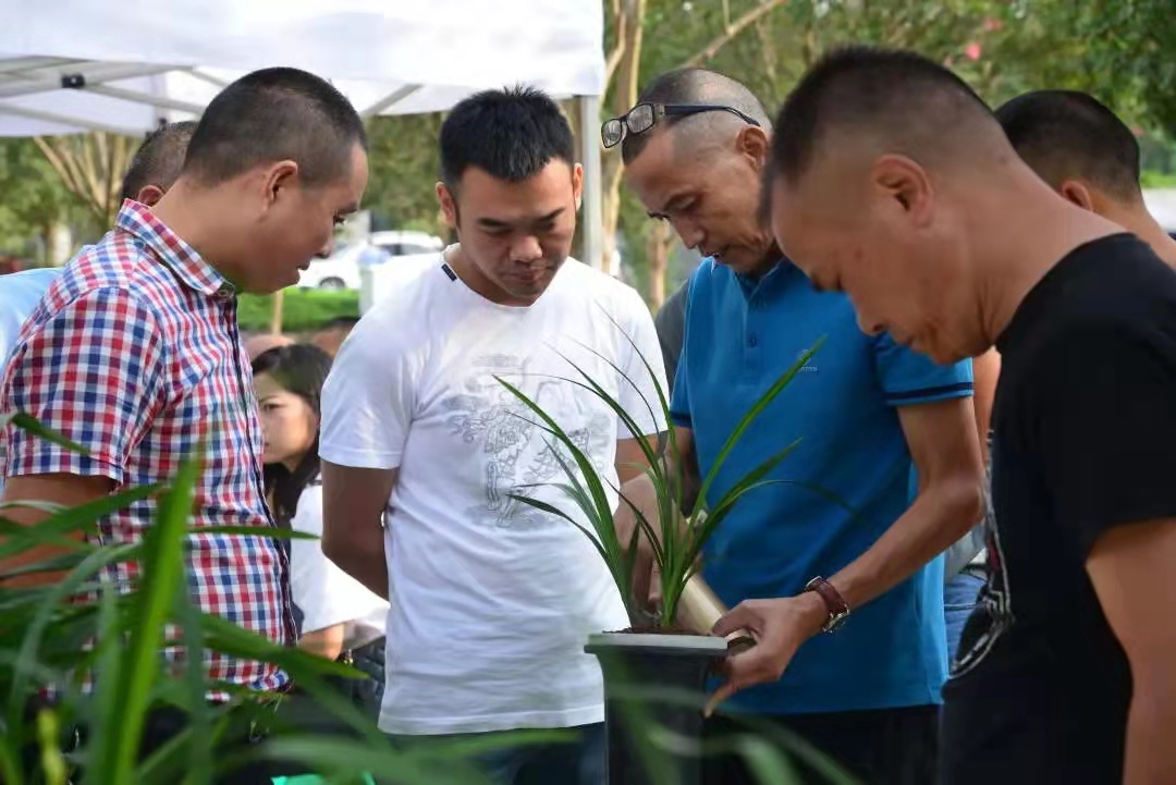 彭州市丽春镇丽景兰花产业园,彭州市丽春镇逸菲兰花种植场