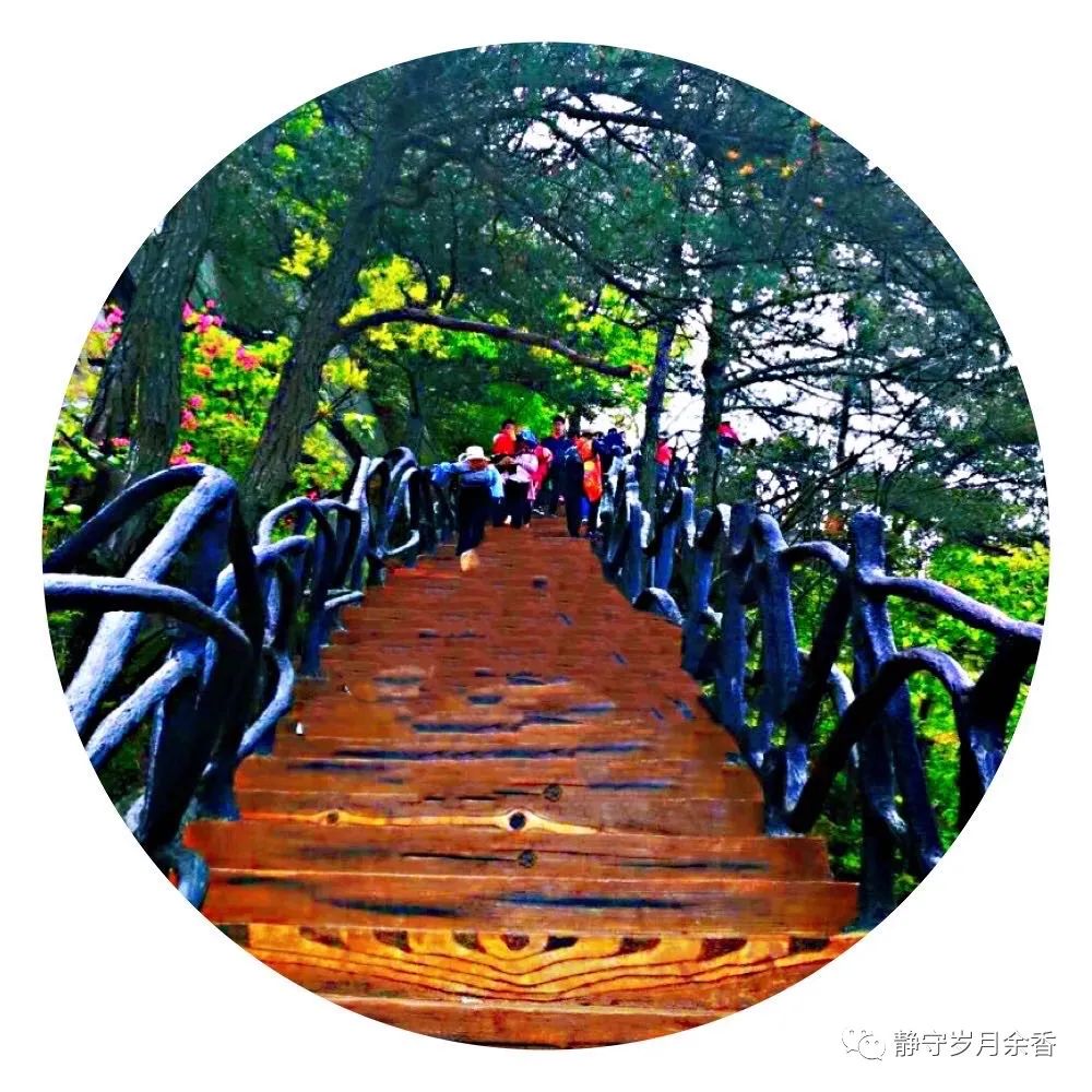 情满龟峰·诗涌花海