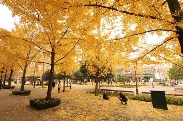 “大古北”三盘Battle战，谁能坐稳板块“一哥”宝座？