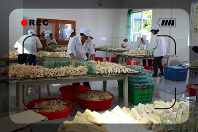 一天收入500的生意,农村小伙一天500元做什么生意好