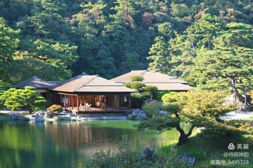 情爱禅语,佛家经典禅语