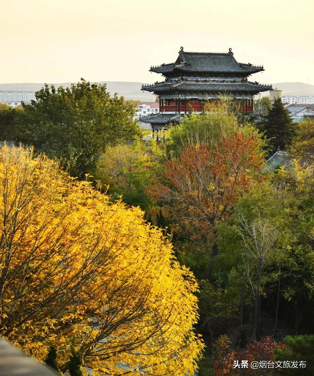 蓬莱美味,冬天蓬莱好吃的