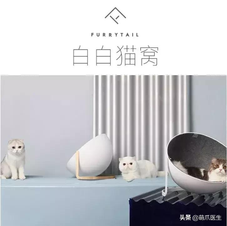 足不出户就能在线治猫病,24小时猫病在线咨询