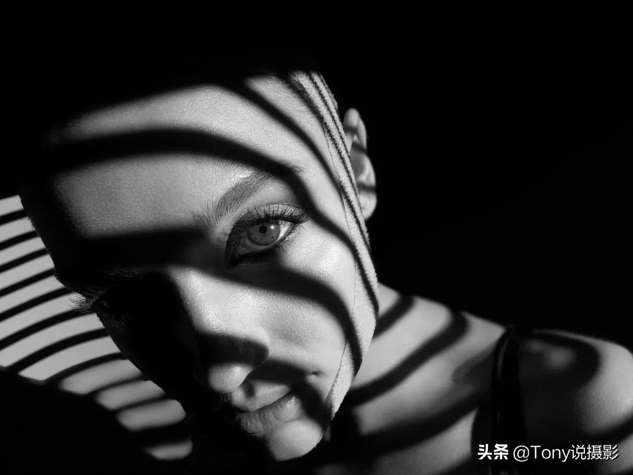 不同摄影题材的镜头选择,摄影打鸟相机镜头推荐