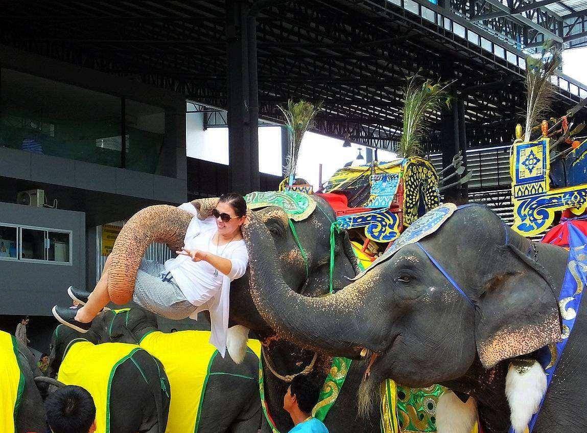 泰国最高端旅游,泰国旅游去哪里看大象表演比较好