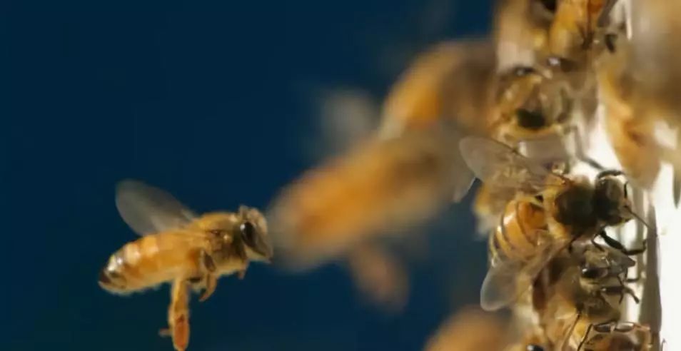 别人创业,创业该怎么做才能成功