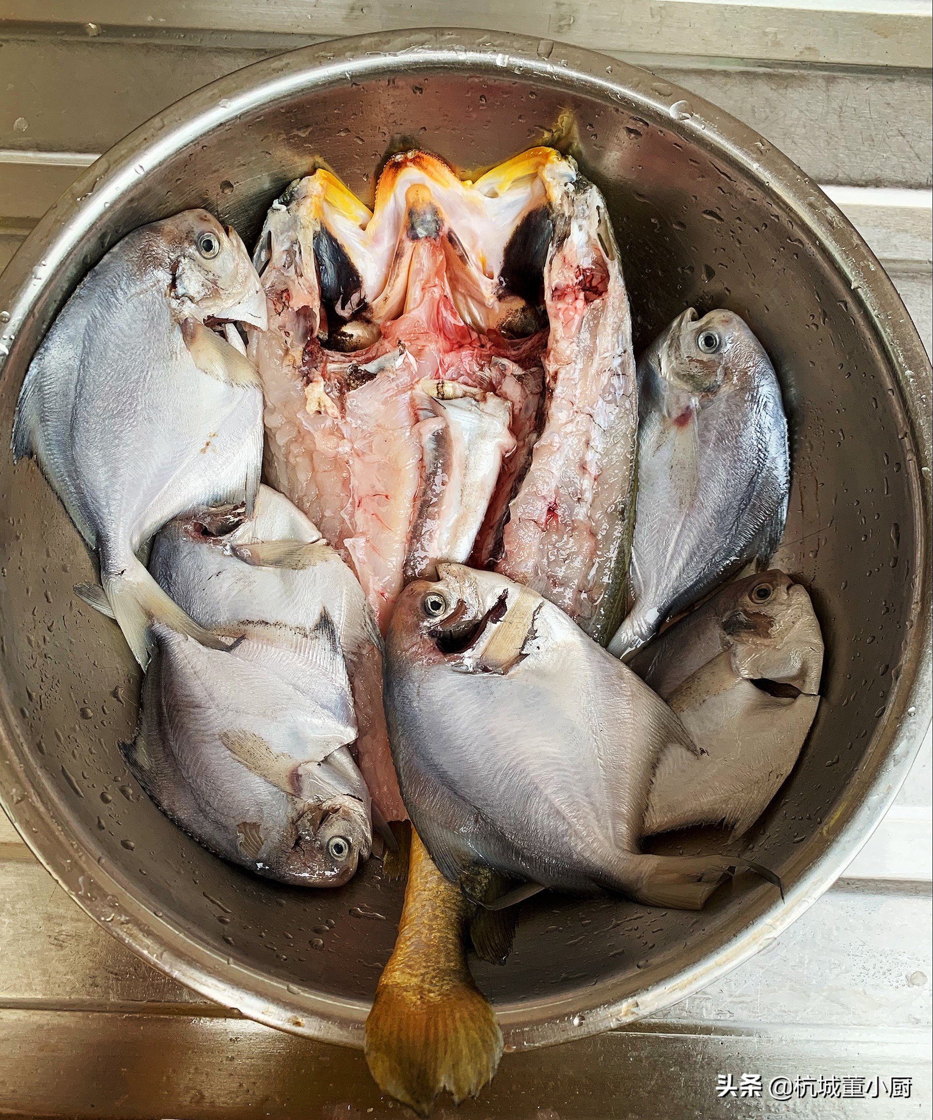 鲳鱼好吃还是黄花鱼好吃,黄花鱼和鲳鱼哪个更适合清蒸