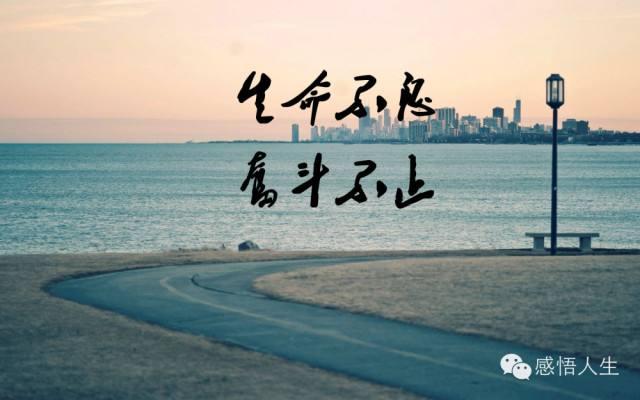 人生百态百味人生,阅百味人生分享人生百态