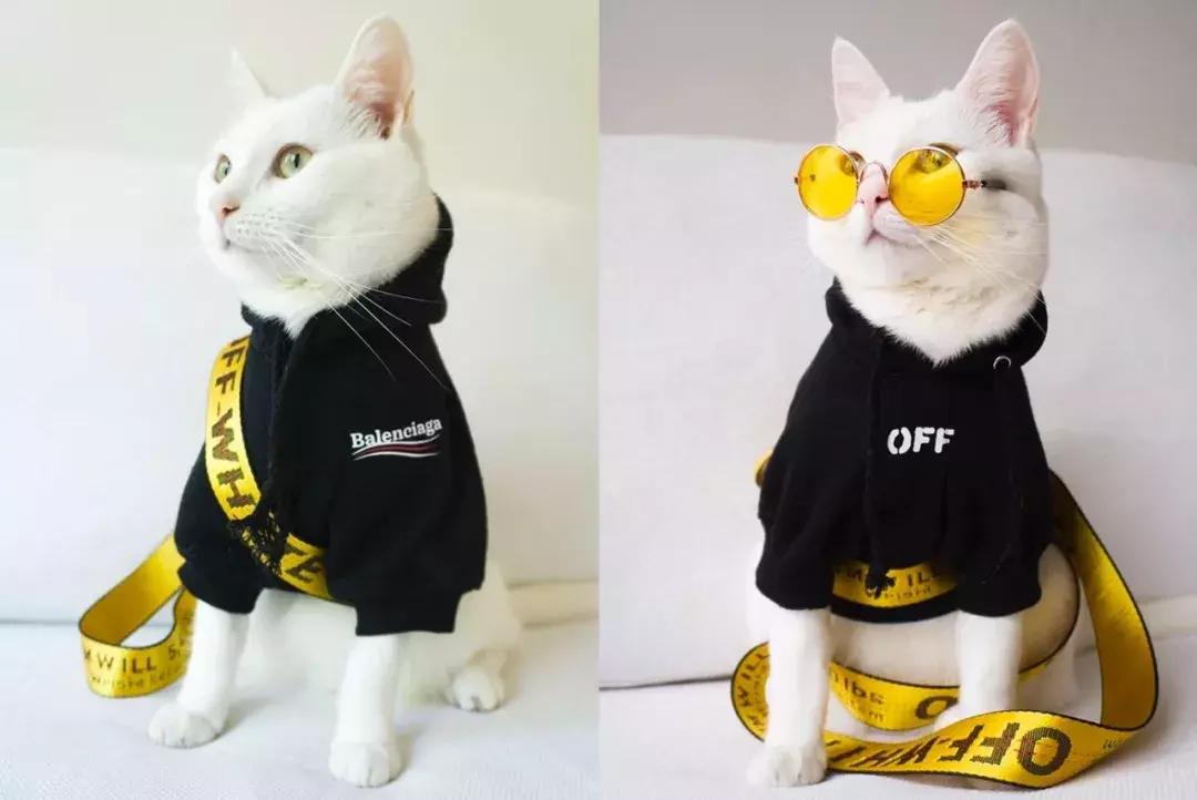 gucci和supreme联名马丁靴,guccisupreme鞋子