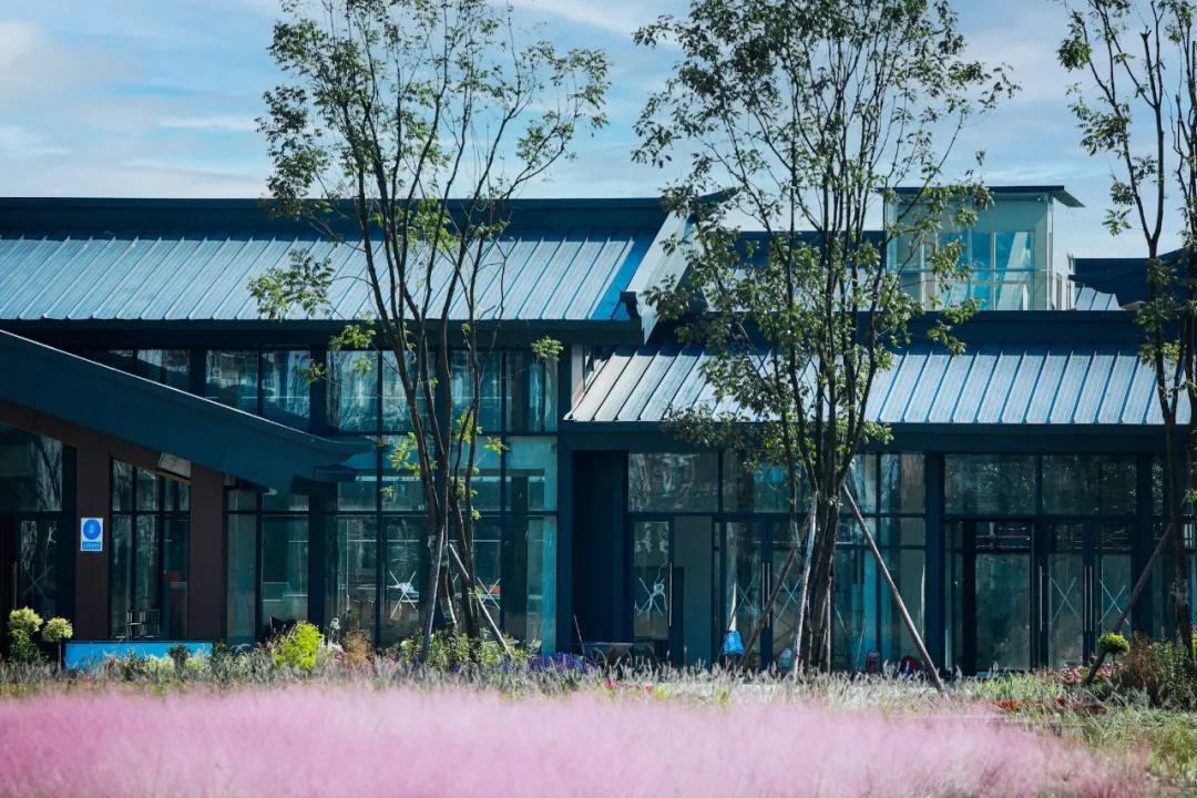 踏青打卡好去处双流空港公园,环城生态公园东片区