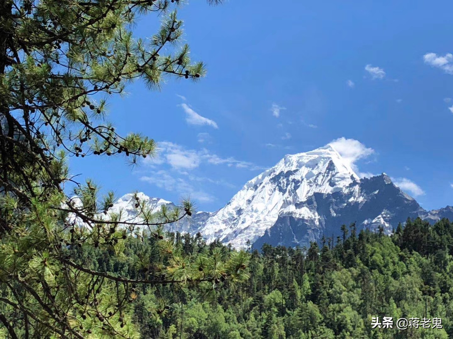 带着老婆，老婆闺蜜，大姨子和小姨子一起单车*藏西**自驾游（完）