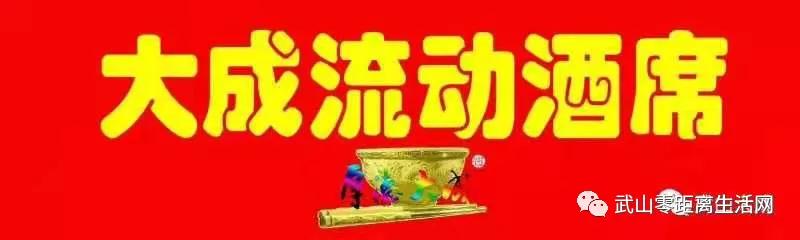 武山龙台油菜花节,湖口县武山油菜花节