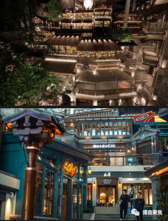 博商直播课程视频,博商讲师申晨