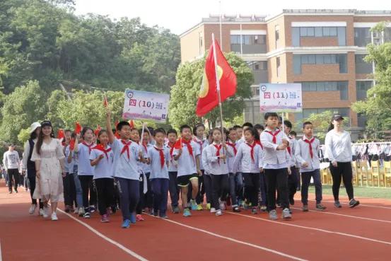 南京市金陵小学简介,南京市金陵小学多少个班