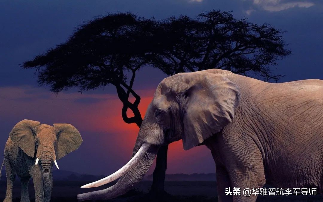 遇到挫折和失败，总是颓废消极，自暴自弃，该怎么办？