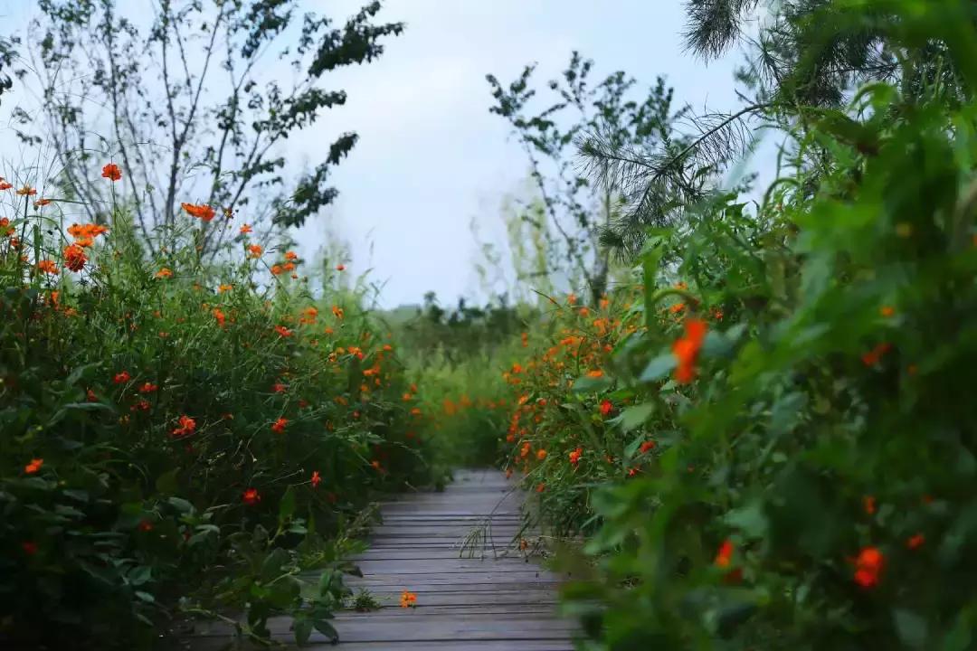 家庭煮妇的何去何从,家庭主妇的爱情