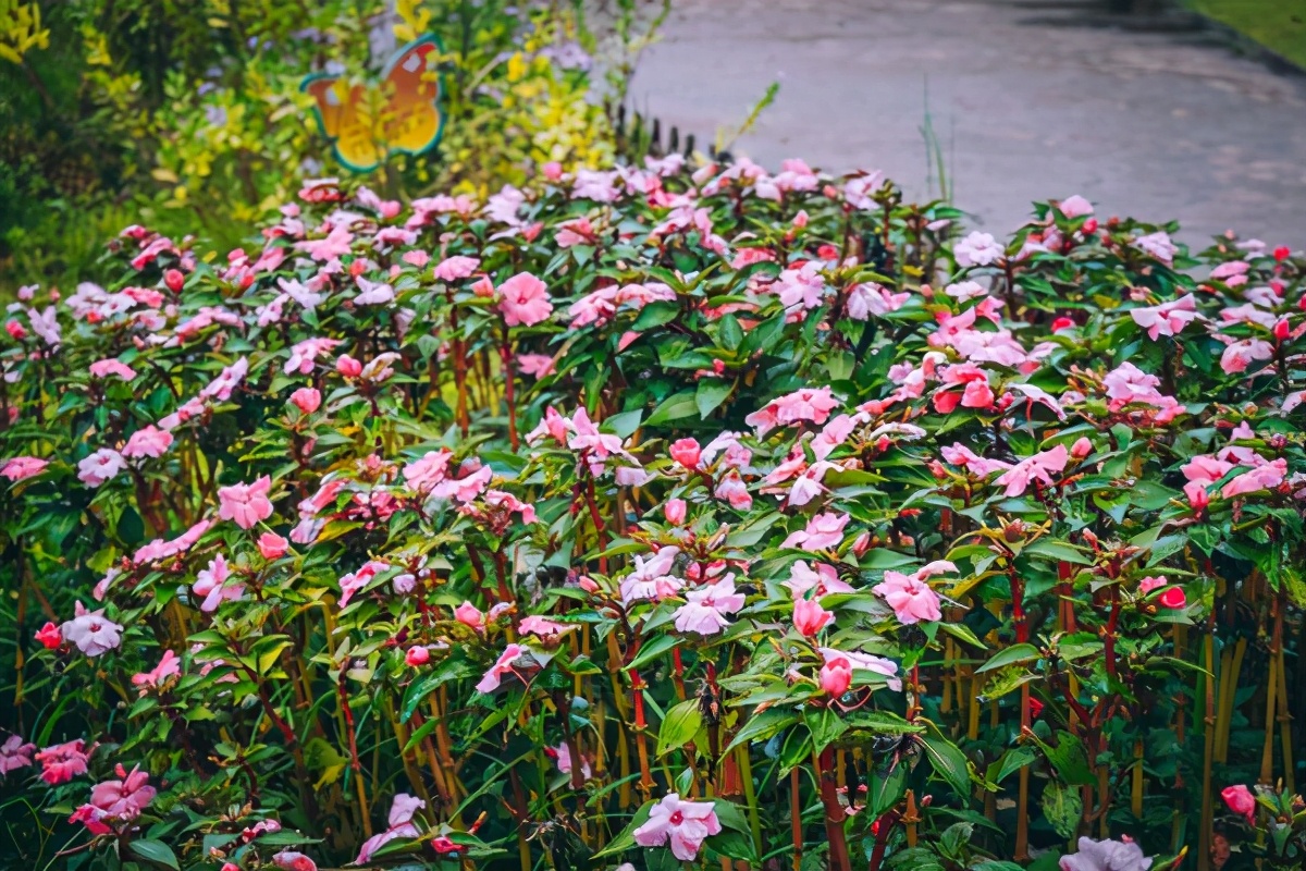 世界最顶级的温泉酒店,最高端的温泉酒店带独立温泉池