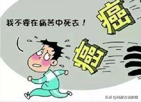 肺癌全凭中医能治好不,肺癌晚期坐着等死还是进行治疗