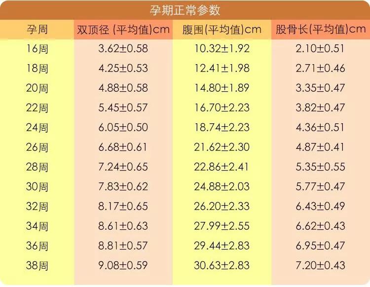 孕期到底需要做几次B超？B超/彩超/三维/四维的区别及选择