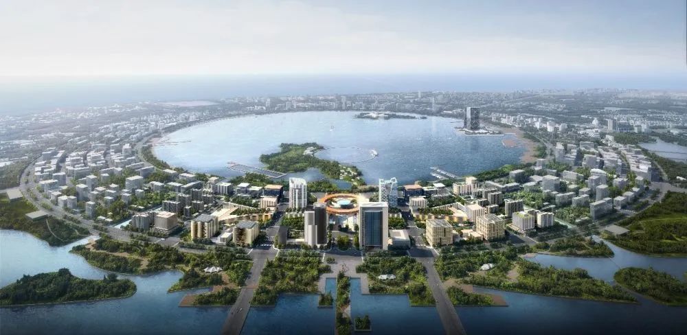 黄欣伟谈房地产,黄欣伟临港自贸区