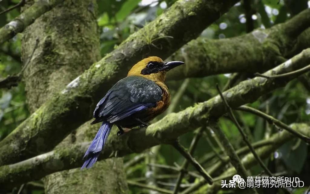 亲子不过夜露营必备物品清单,户外露营小攻略2人