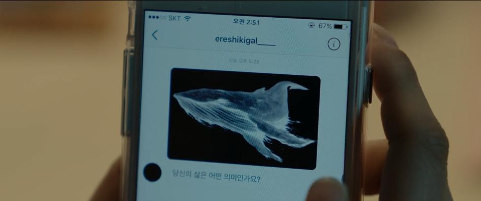 网络杀机电影真实事件,韩国电影网络犯罪