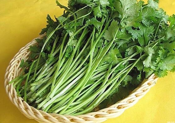 阳春三月看杨花,阳春三月看花香