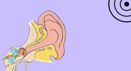 耳鸣治得好不,耳鸣要注意什么事项