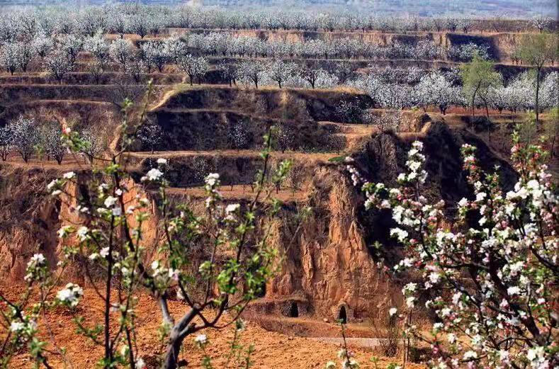 同河谷，英雄谷，正气谷丨李旭丰