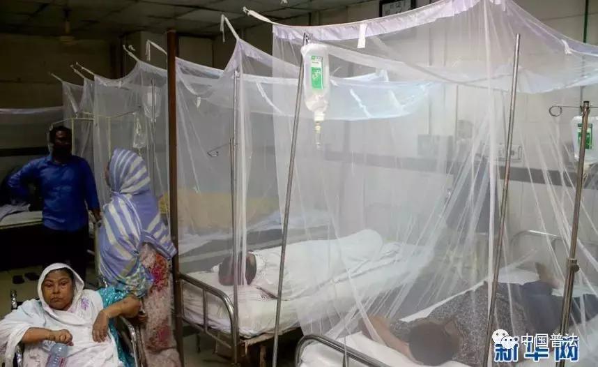 【法治热点早知道】悬赏缉捕2个月,这名涉黑女赏金从2万涨到50万,为啥?