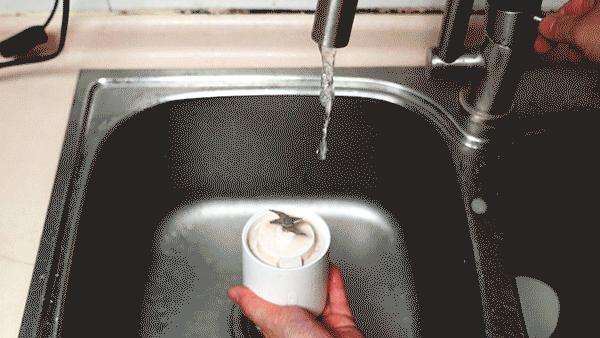 怎么用榨汁机榨果汁,如何用榨汁机榨出一杯好吃的果汁