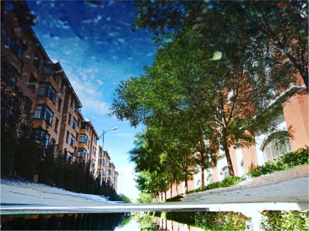 辽宁工程技术大学辽宁省分数线,辽宁工程技术大学在辽宁省排名