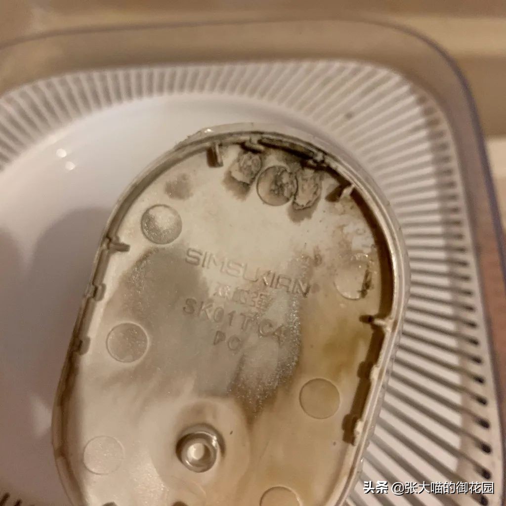 宠物饮水机漏电又爆炸？怎样才能选到安全放心的宠物饮水机？