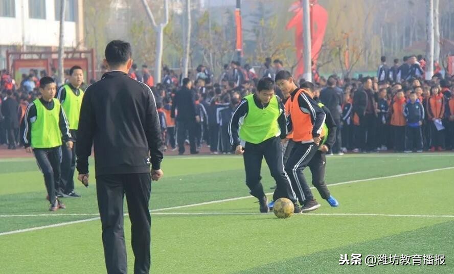 足球小将驰骋绿茵比拼球技,无限风采始于足下内容