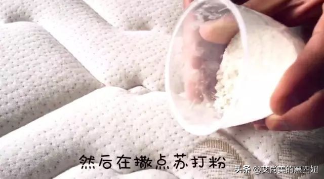 螨虫背后的秘密你知道多少,最常见的四种螨虫