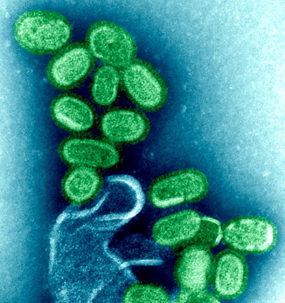 医生和病毒作战,我们如何对付病毒