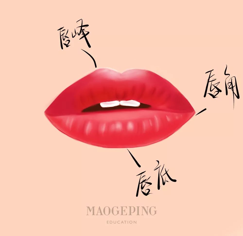 买了口红不会涂,买了很多口红没一个好看的